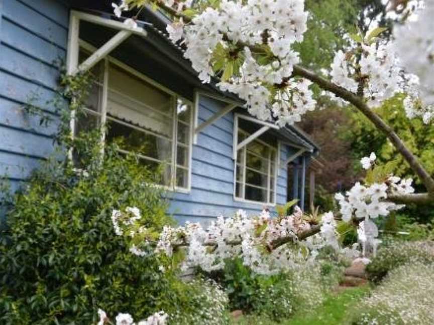 Summerhill Farm B&B, Main Ridge, VIC