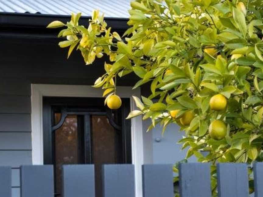 The Lemontree, Daylesford, VIC