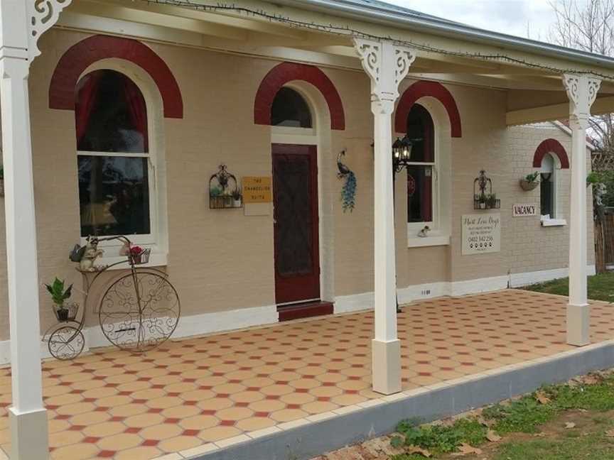Must Love Dogs B&B & Self Contained Cottage, Rutherglen, VIC