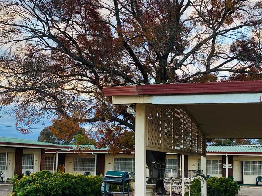 County Lodge Motel, West Wyalong, NSW