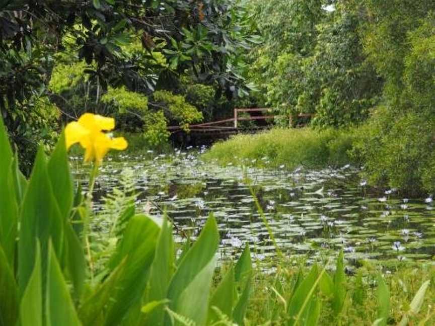 Lilypad Luxury Cabins, Bellingen, NSW