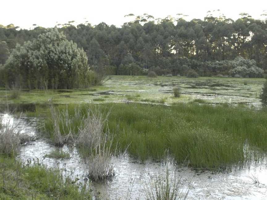 Bewong River Retreat, Bewong, NSW