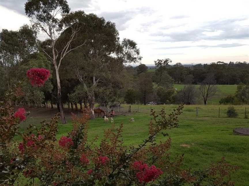 Blueberry Hills On Comleroy, Kurrajong, NSW