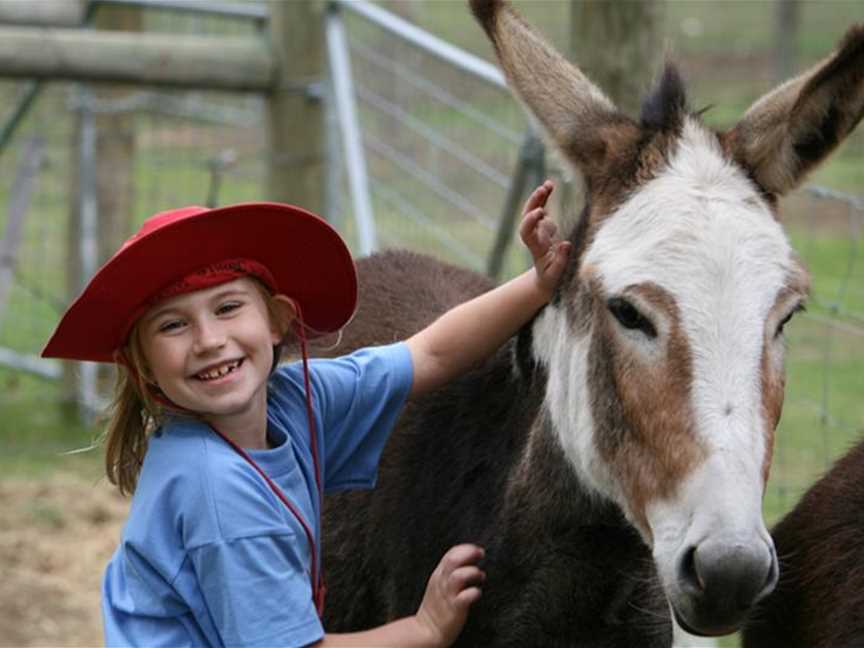 Talking to the Animals - Violet the Donkey