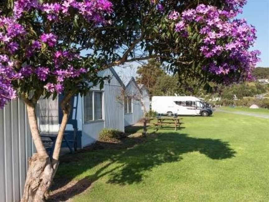 Waitangi Holiday Park, Paihia, New Zealand