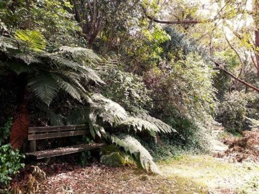 Quirky Woods, Papamoa, New Zealand