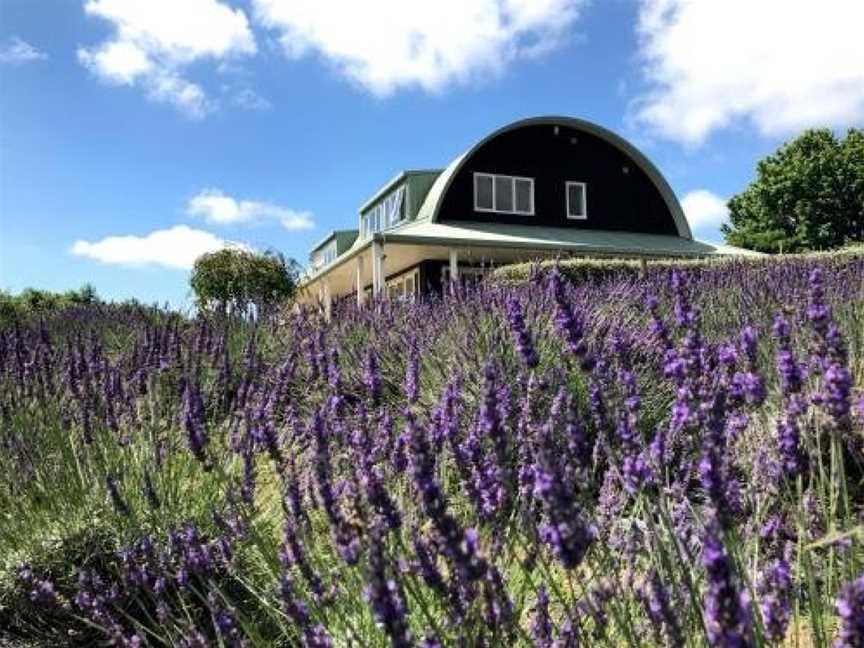 Lavender Hill, Kumeu, New Zealand