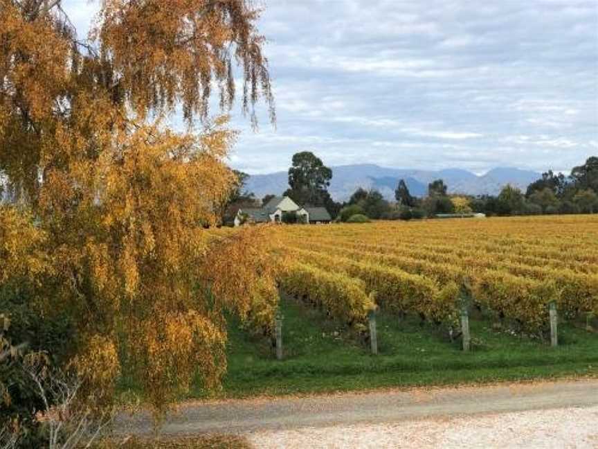 Vineyard Cottage in Blenheim on the Golden Mile, Hawkesbury, New Zealand