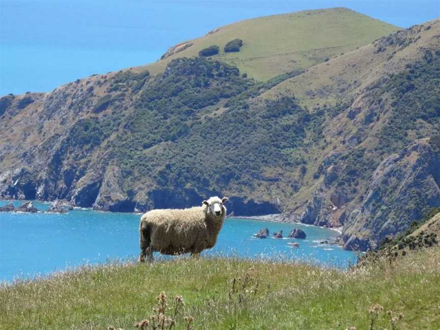 The Beach House - Nelson, Nelson, New Zealand