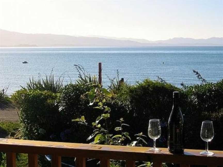 Treed - Golden Bay Bach (Tata Beach), East Takaka, New Zealand