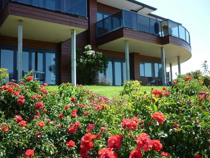 Aurora Lodge, Accommodation in Waipu