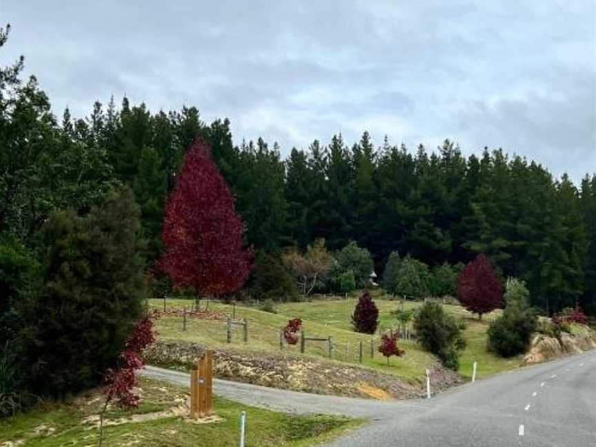 Beech Hill - Pet Friendly Holiday Home, Brown Owl, New Zealand