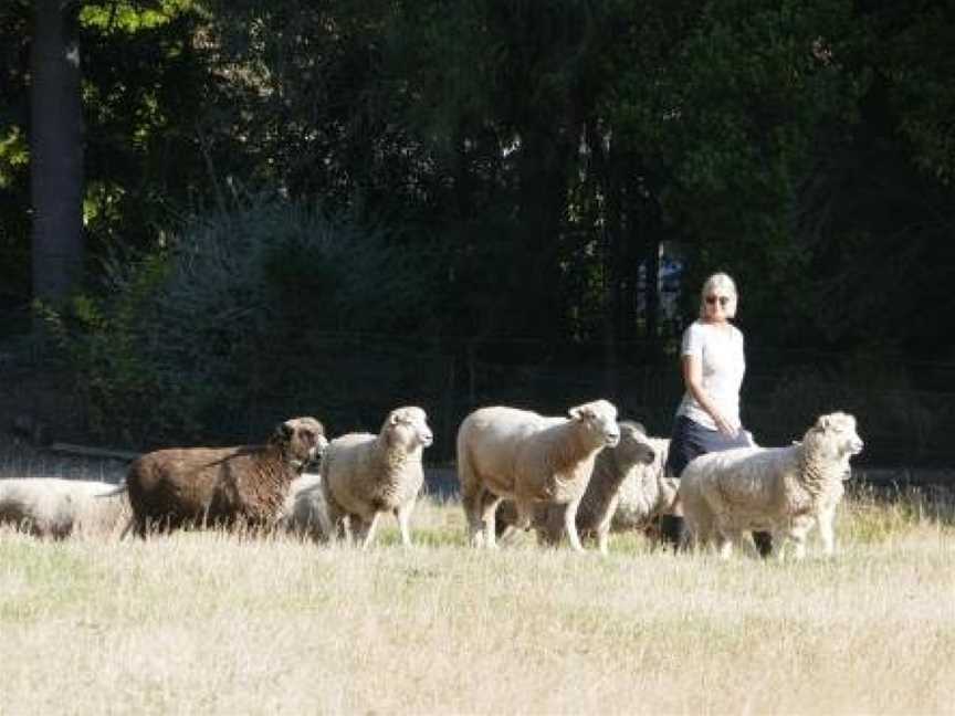 Karetu Downs Farm Stay, Hawarden, New Zealand