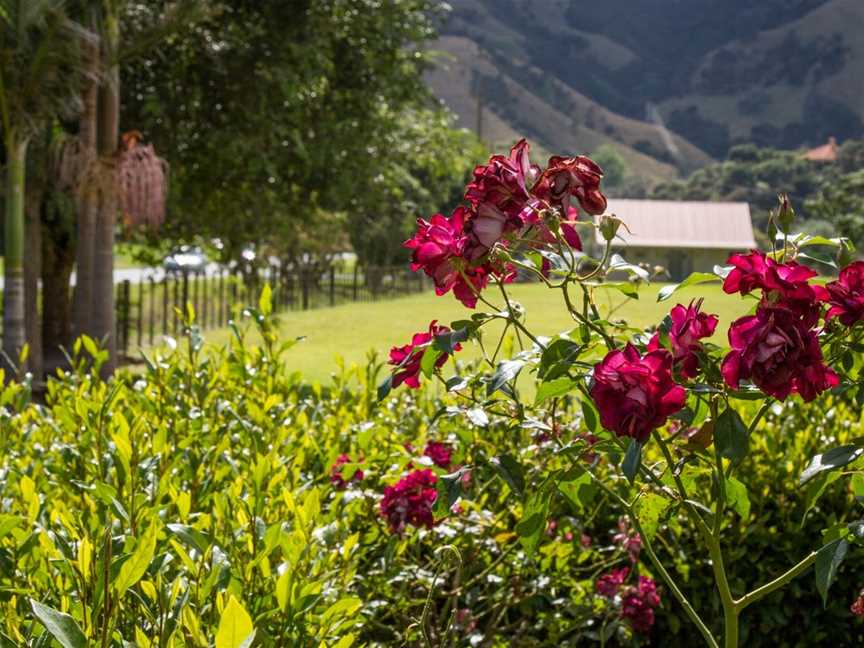 Taigh Na Mara Bed & Breakfast, Kuaotunu West, New Zealand