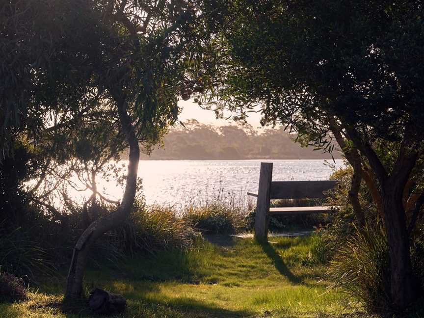 Bushland pathway to the waterfront