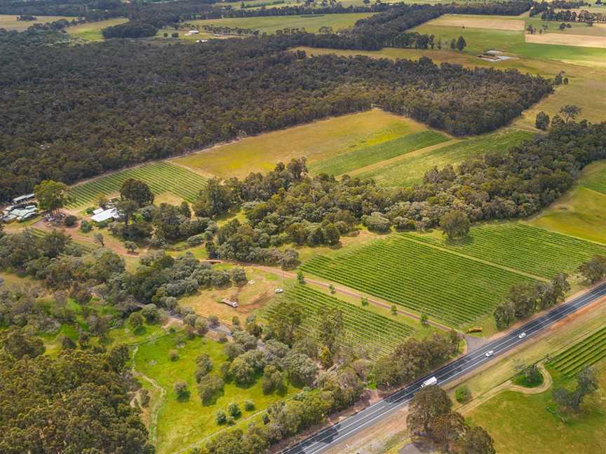 Island Brook Estate Aerial Vineyard and Forest