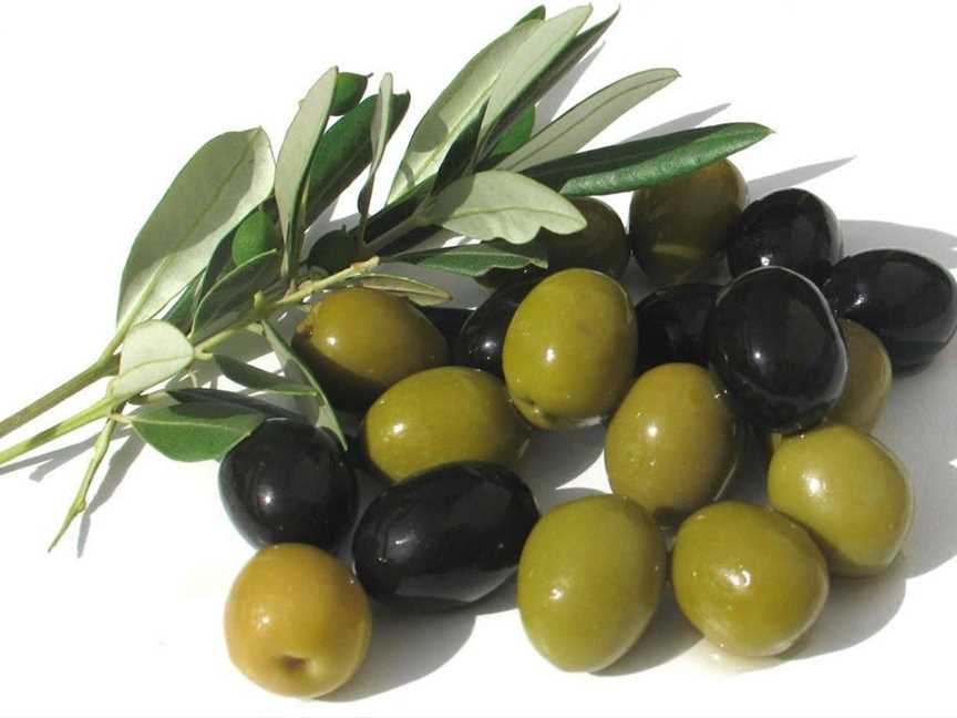 Dinninup Grove Olives, Tourist attractions in Boyup Brook