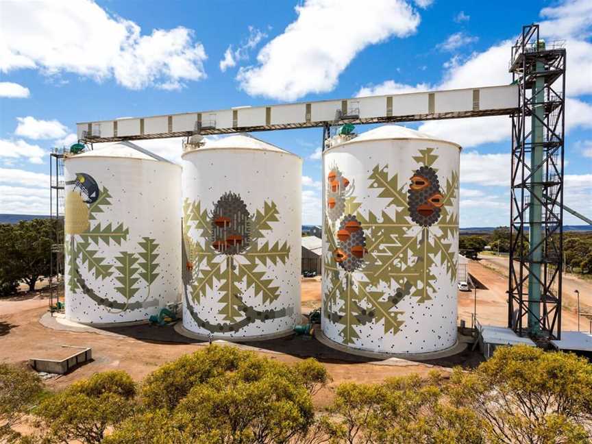 Six Stages of Banksia baxteri by Amok Island in Ravensthorpe for PUBLIC Silo Trail, 2016. Photograph by Bewley Shaylo