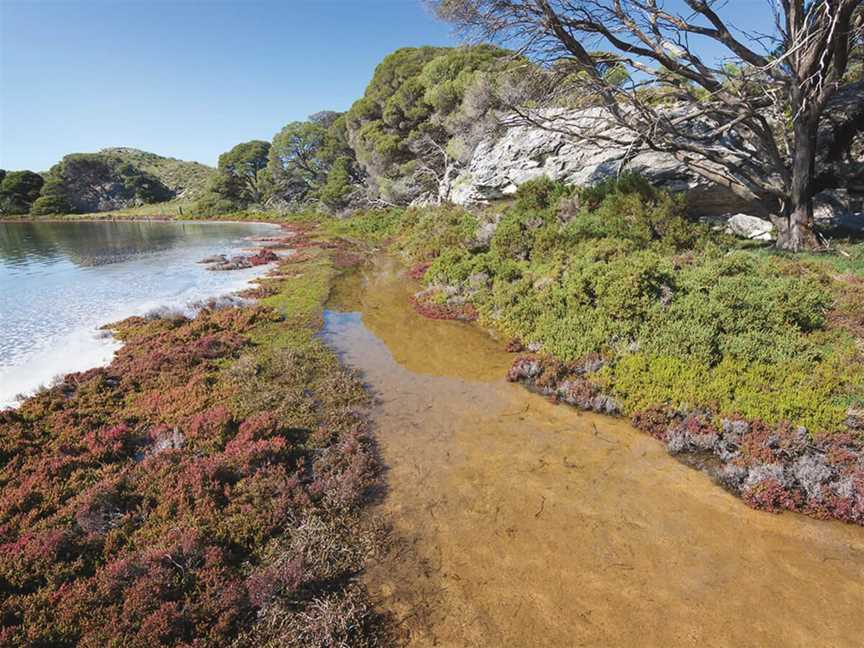 Lake Vincent, Attractions in Rottnest Island