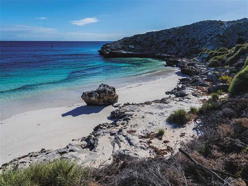 Snorkelling At Mary Cove, Attractions in Rottnest Island
