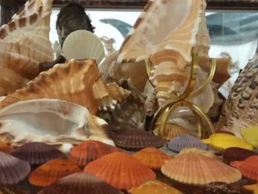 Bellview Shell Collection, Tourist attractions in Witchcliffe