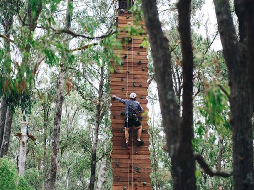 Forest Adventures South West, Attractions in Busselton