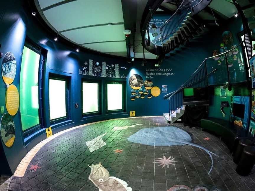 Underwater Observatory - Busselton Jetty, Tourist attractions in Busselton