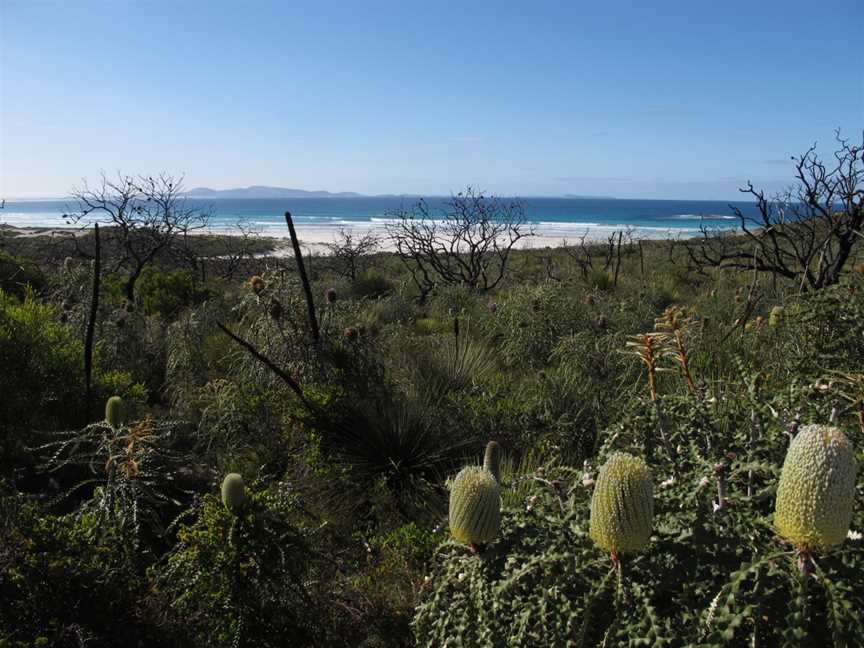 Cape Arid National Park