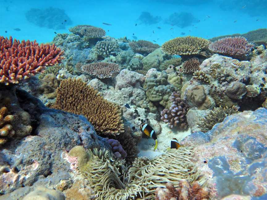 Mermaid Reef Marine Park
