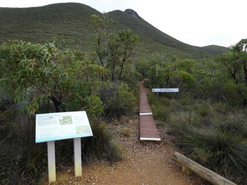 Mt Hassell