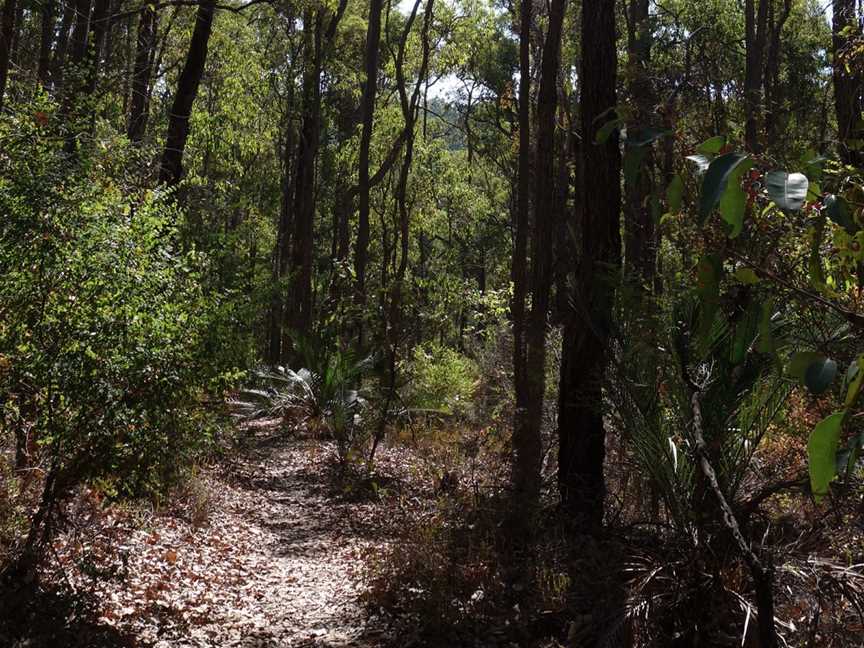 King Jarrah Walk Trail
