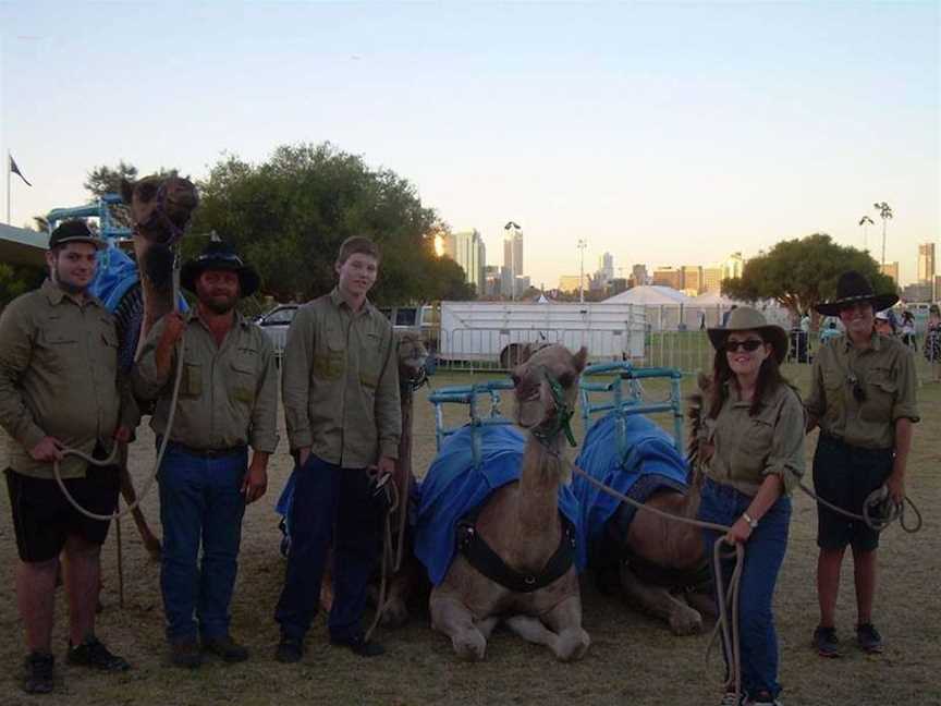 Humpy Camels, Attractions in -