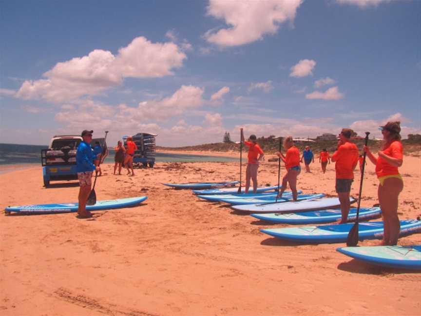 WhatSUP Board Hire - Paddle Board Lessons, Attractions in Mandurah