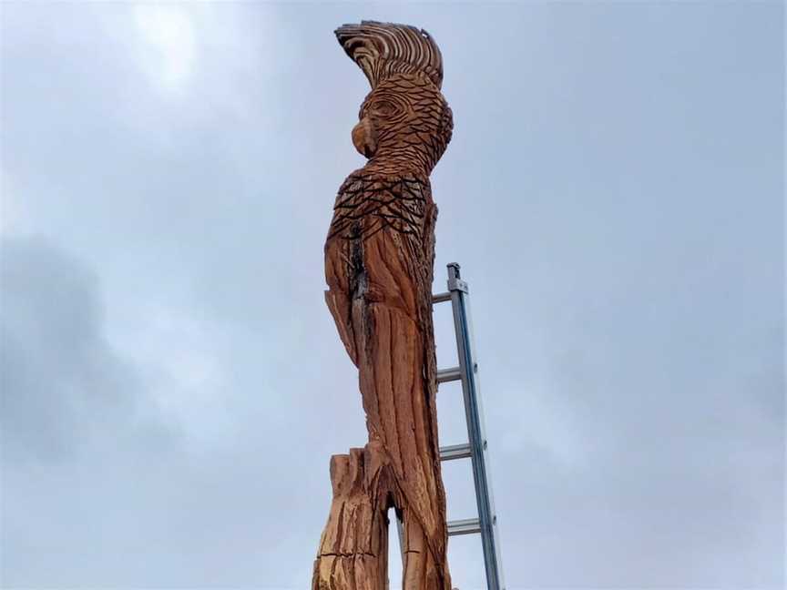 Darrel Radecliffe Chainsaw Sculpture Drive, Tourist attractions in Albany