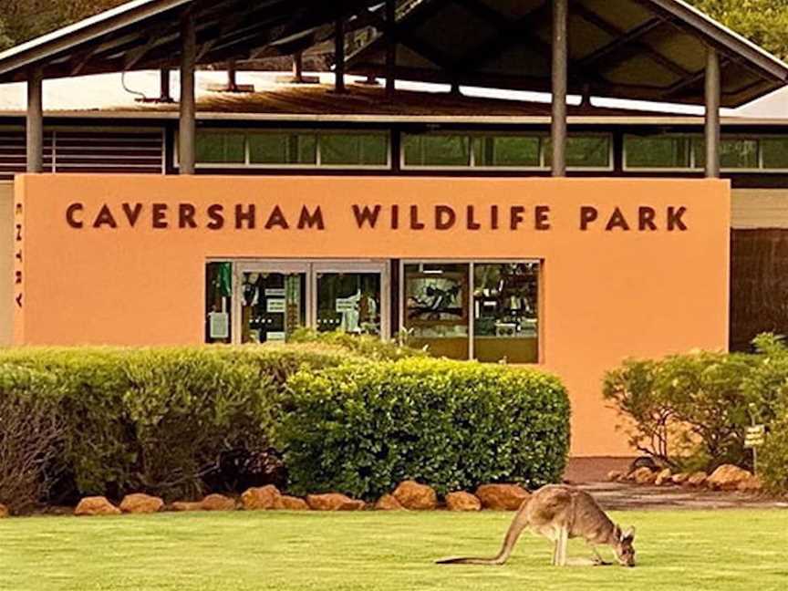 Caversham Wildlife Park, Attractions in Whiteman