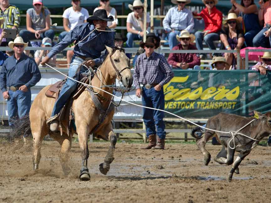 Australian Rodeo Heritage Centre, Warwick, QLD