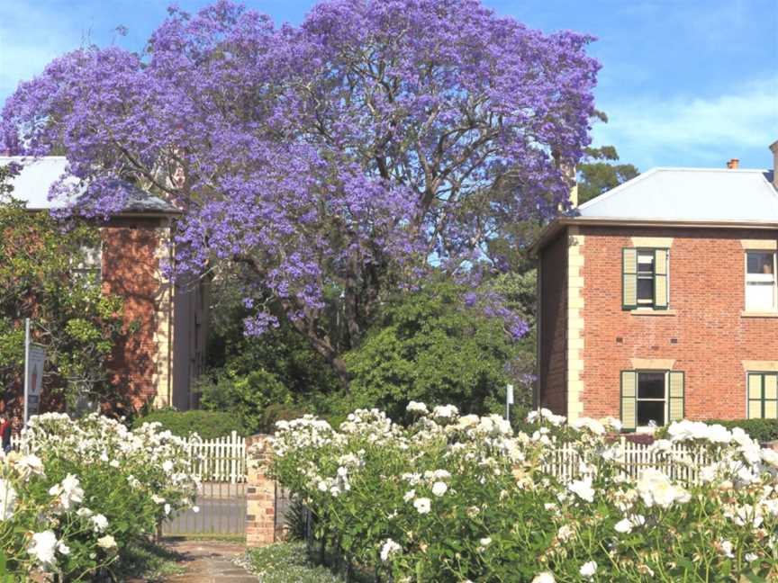 Brough House, Tourist attractions in Maitland