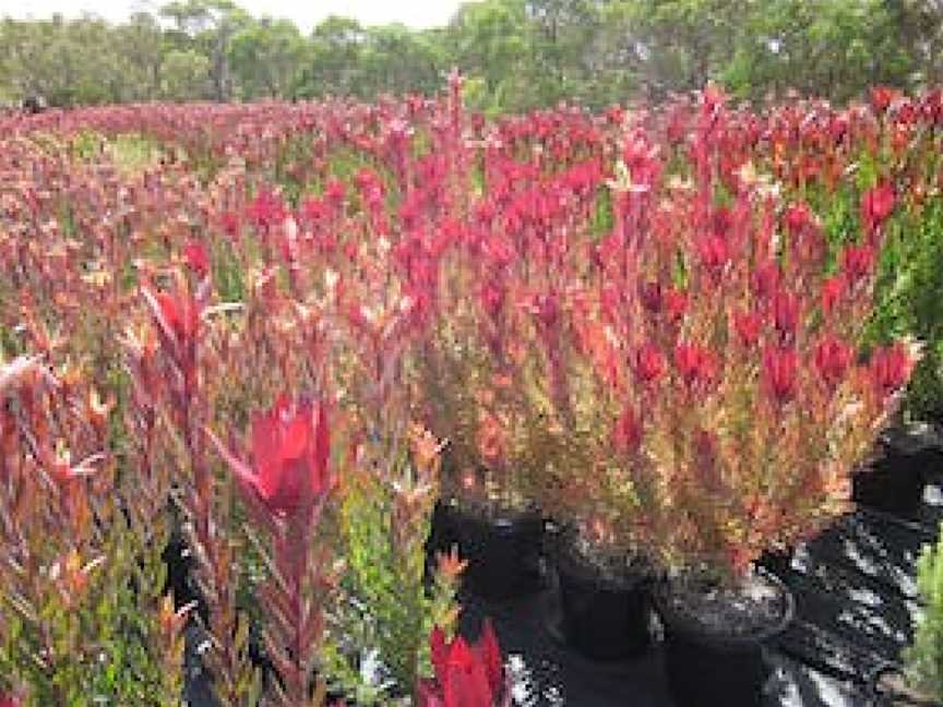 Eromanga Natural History Museum, Eromanga, QLD