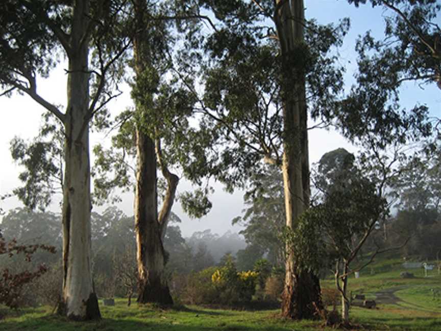 The Tasmanian Arboretum, Devonport, TAS