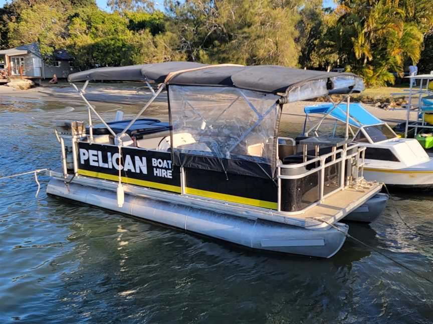 The Big Pelican, Noosaville, QLD
