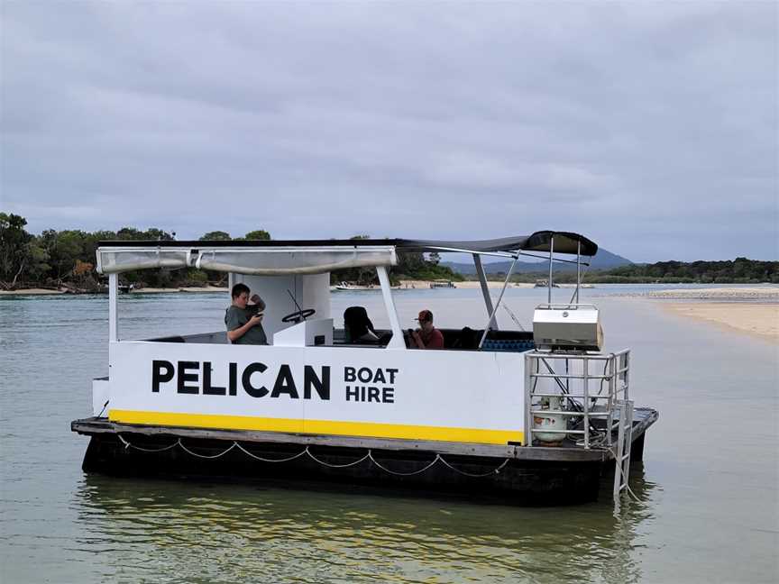 The Big Pelican, Noosaville, QLD