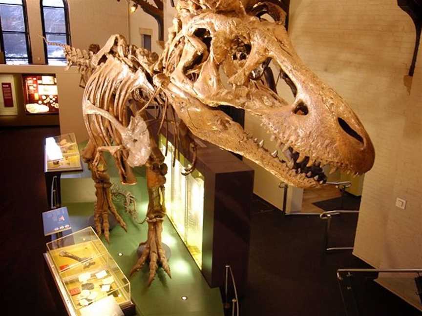 Australian Fossil and Mineral Museum, Tourist attractions in Bathurst