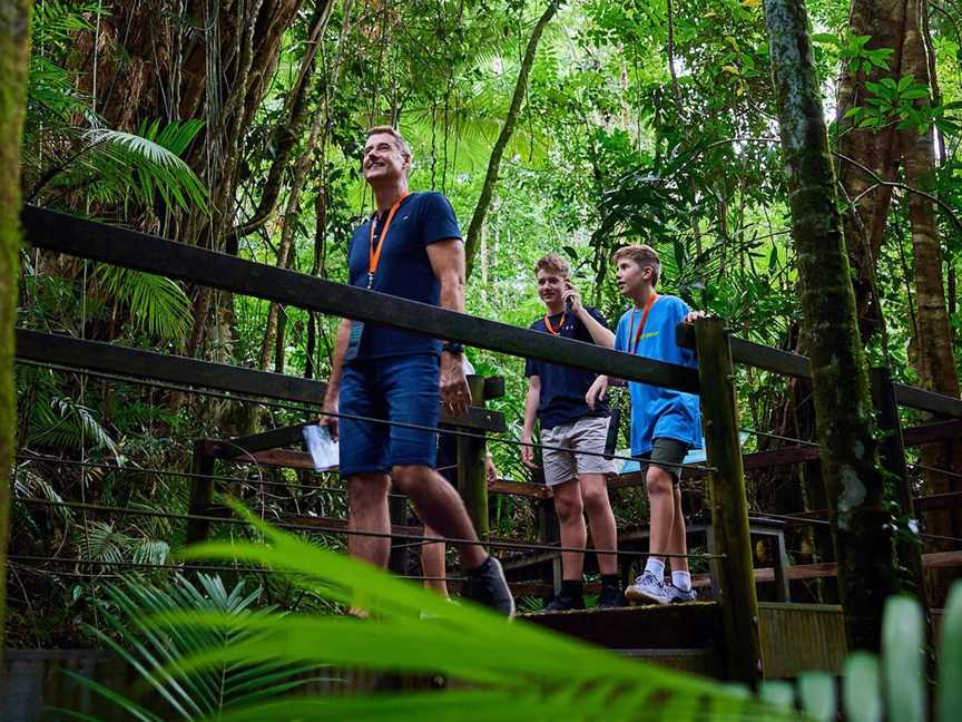 Daintree Discovery Centre, Tourist attractions in Daintree