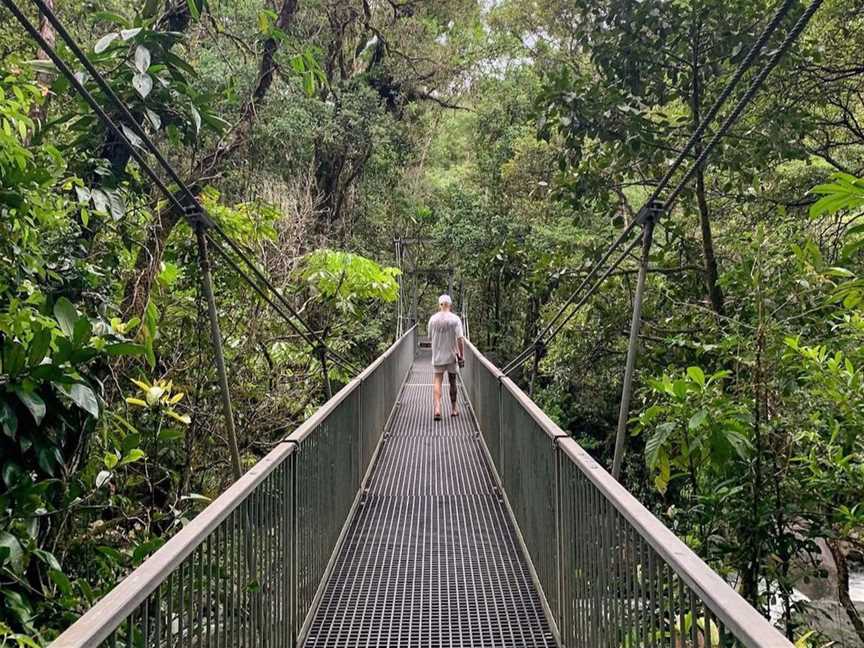 Daintree Discovery Centre, Tourist attractions in Daintree