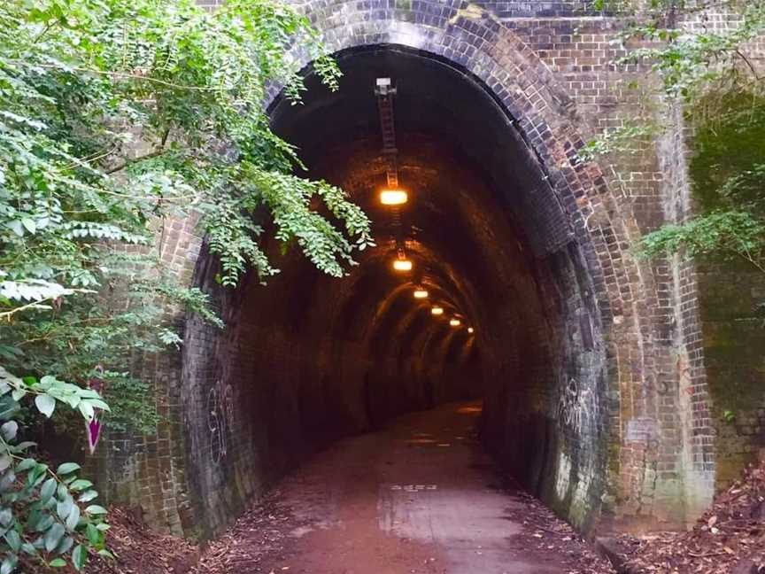 Ernest Junction Railway Tunnel, Tourist attractions in Molendinar