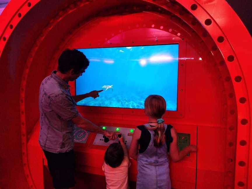 Marine Discovery Centre Hastings Point, Tourist attractions in Hastings Point