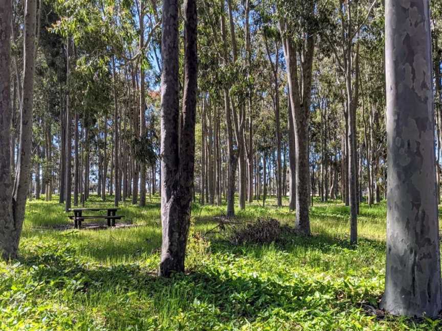 Tuart Forest National Park, Tourist attractions in Ludlow
