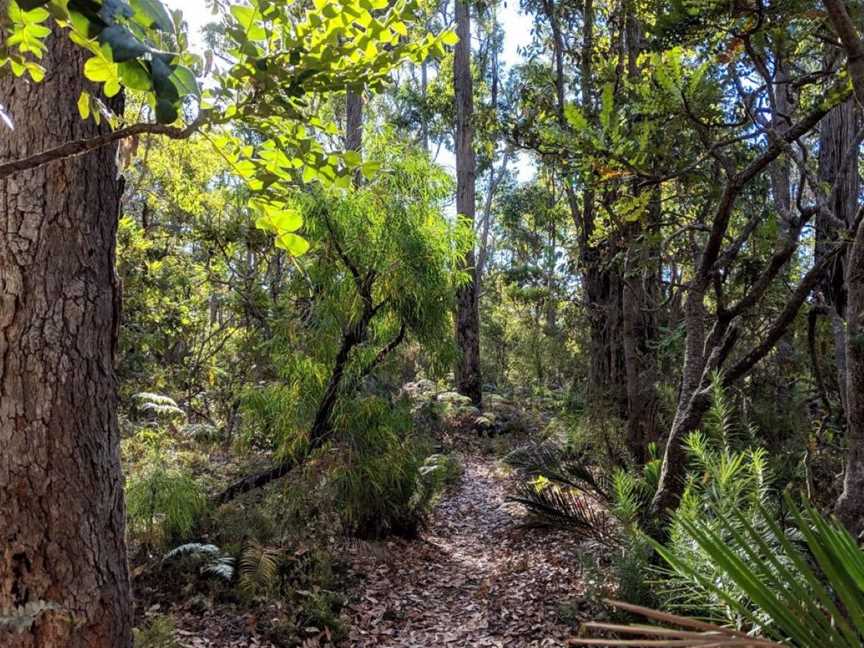 St John Brook Conservation Park, Attractions in Barrabup
