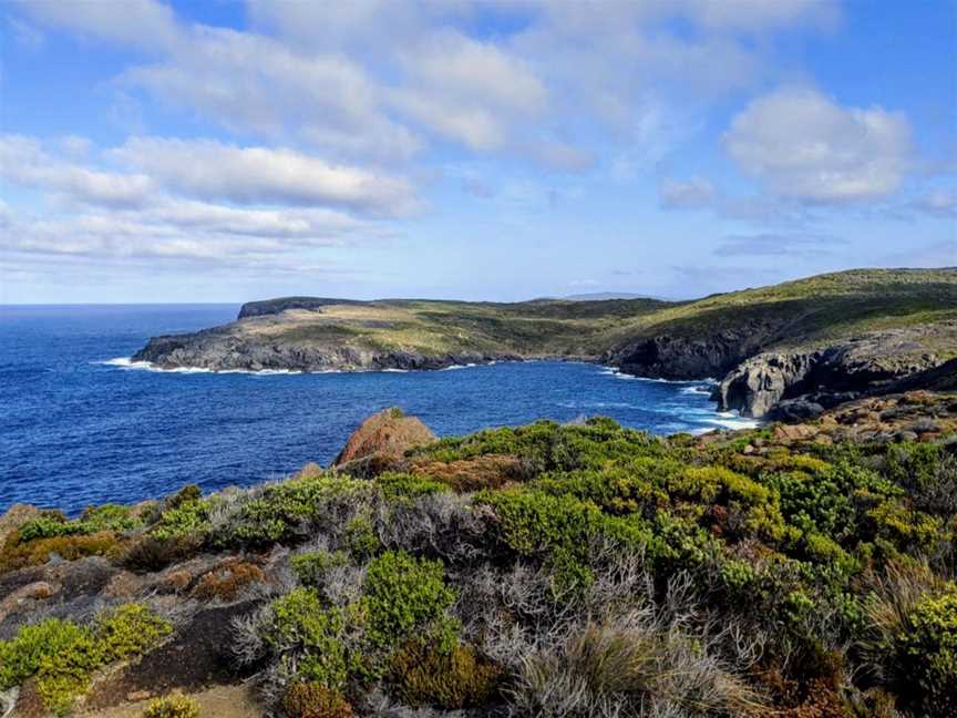 Torbay Head, Tourist attractions in West Cape Howe