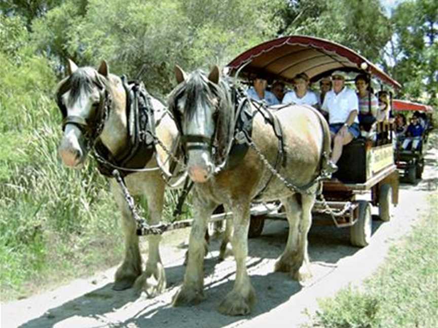 Swan Valley Wagon Trails, Attractions in Henley Brook